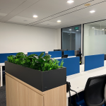 Open-plan office with blue-partitioned workstations and a planter box