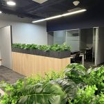 Office planter box partition with glass meeting rooms behind