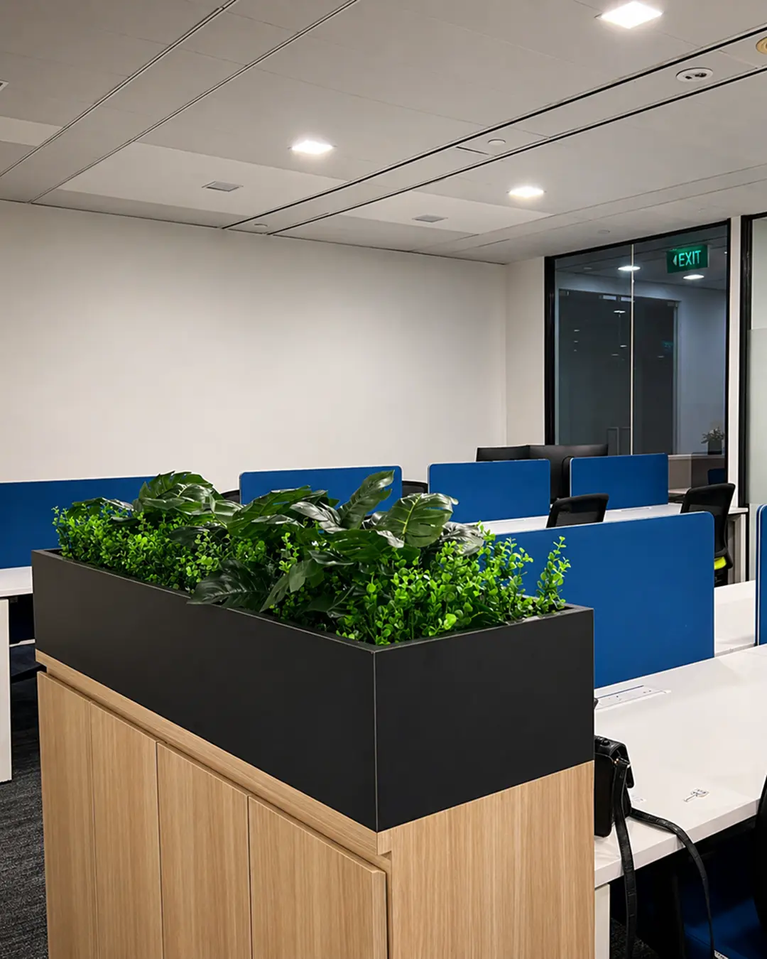 Modern open-plan office fit-out with white workstations, black chairs and planter dividers