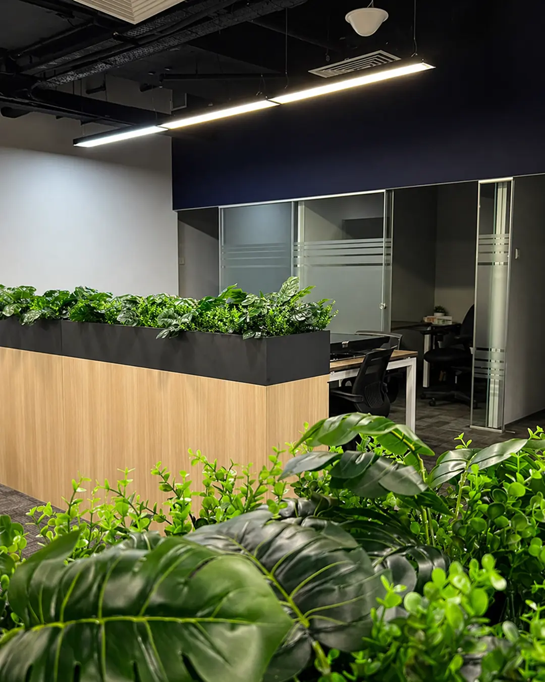 Modern open-plan office fit-out with white workstations, black chairs and planter dividers